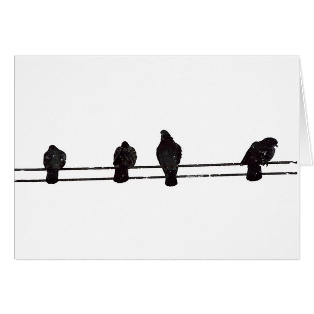Vögel (Vorderseite (Horizontal))