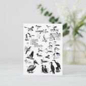 Vögel 12 postkarte (Stehend Vorderseite)