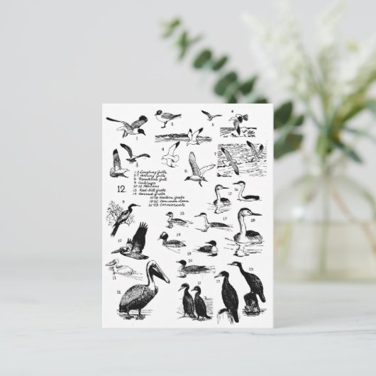 Vögel 12 postkarte (Stehend Vorderseite)