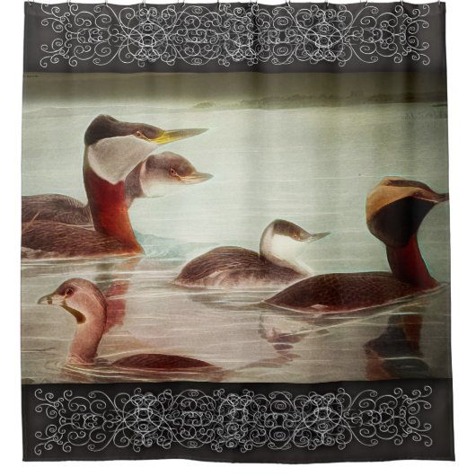 Vögel 1917 Grebes Duschvorhang (Vorderseite)
