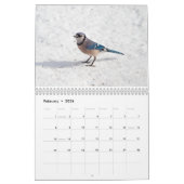 Vögel 2017 kalender (Feb 2026)