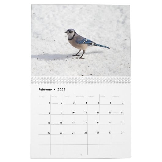 Vögel 2017 kalender (Feb 2026)