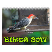 Vögel 2017 kalender (Titelbild)