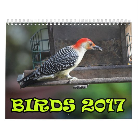 Vögel 2017 kalender (Titelbild)