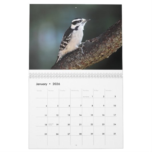 Vögel 2017 kalender (Jan 2026)