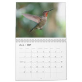 Vögel 2017 kalender (Mär 2027)