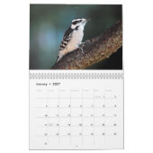 Vögel 2017 kalender (Jan 2027)