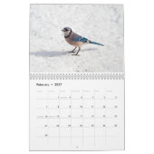 Vögel 2017 kalender (Feb 2027)