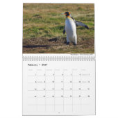 Vögel 2021 Kalender von Chris Milligan (Feb 2027)