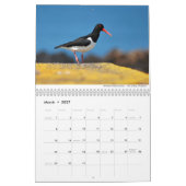 Vögel 2021 Kalender von Chris Milligan (Mär 2027)