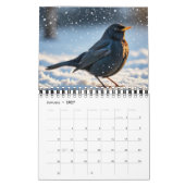 VÖGEL 2025 KALENDER TWITCHERS LIEBT! (Jan 2027)