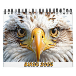 VÖGEL 2025 KALENDER TWITCHERS LIEBT!