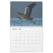 VÖGEL 2025 - PAZIFISCHE VÖGEL IM NORDWESTEN KALENDER (Feb 2027)