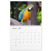 Vögel 2027 Kalender (Feb 2027)