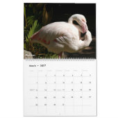 Vögel 2027 Kalender (Mär 2027)