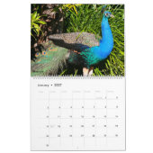 Vögel 2027 Kalender (Jan 2027)