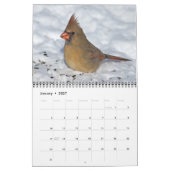 Vögel 2027 Kalender (Jan 2027)