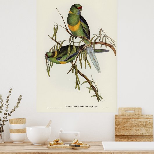 Vögel 2 poster (Küche)