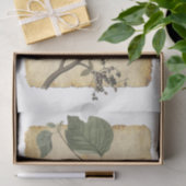 Vogel 33 Dekoupage Tissue Paper Seidenpapier (Geschenk)