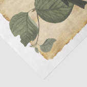 Vogel 33 Dekoupage Tissue Paper Seidenpapier (Ausschnitt)