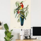 Vögel 4 poster (Heimbüro)