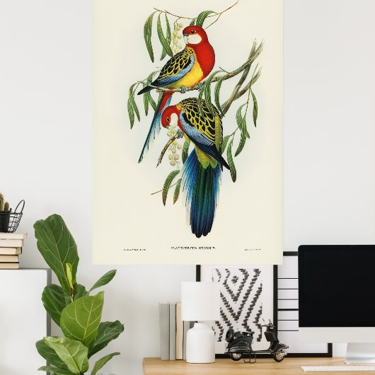 Vögel 4 poster (Heimbüro)