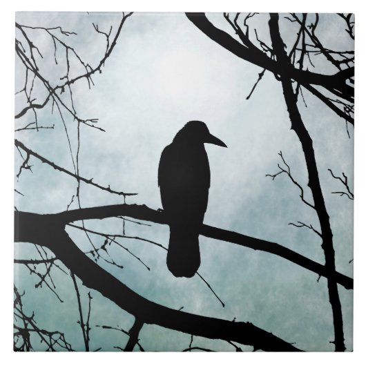 Vogel 77 Crow Raven Fliese (Vorderseite)