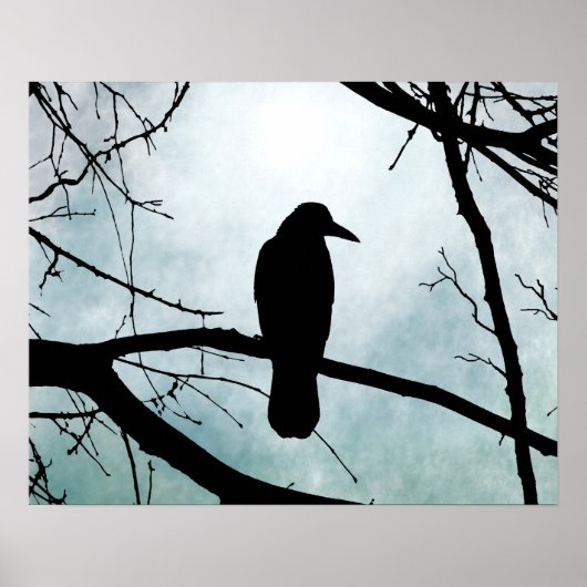 Vogel 77 Crow Raven Poster (Vorne)