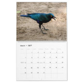 VÖGEL AFRIKAS-Kalender 2014 (zwei Seiten) Kalender (Mär 2027)