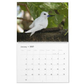 VÖGEL AFRIKAS-Kalender 2014 (zwei Seiten) Kalender (Jan 2027)