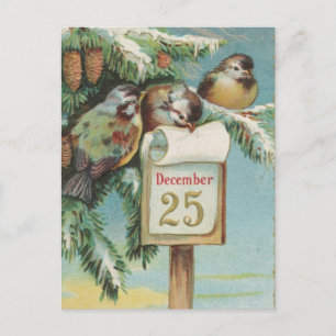 Vögel am 25. Dezember Feiertagspostkarte
