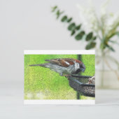 Vögel am Feeder Postkarte (Stehend Vorderseite)
