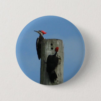 Vögel am Pol Button
