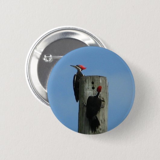 Vögel am Pol Button (Vorne & Hinten)