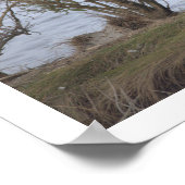 Vogel am Schutzgebiet Poster (Ecke)