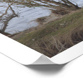 Vogel am Schutzgebiet Poster (Ecke)