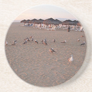 Vögel am Strand in Cabo Untersetzer