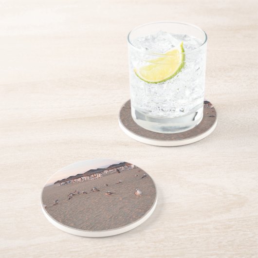 Vögel am Strand in Cabo Untersetzer (Seite)