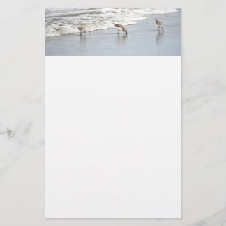 Vögel am Strand in den Surfhinweisen Briefpapier