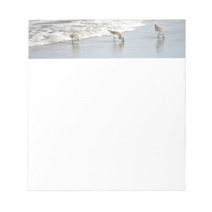 Vögel am Strand in den Surfhinweisen Notizblock