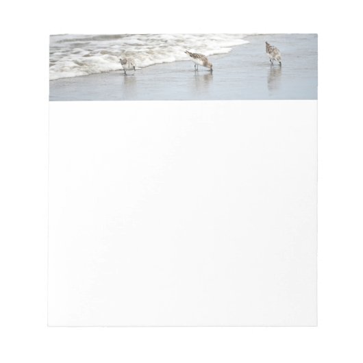 Vögel am Strand in den Surfhinweisen Notizblock (Vorderseite)