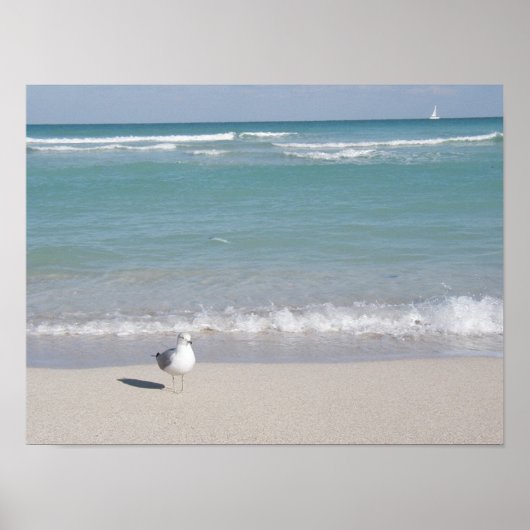 Vogel am Strand Poster