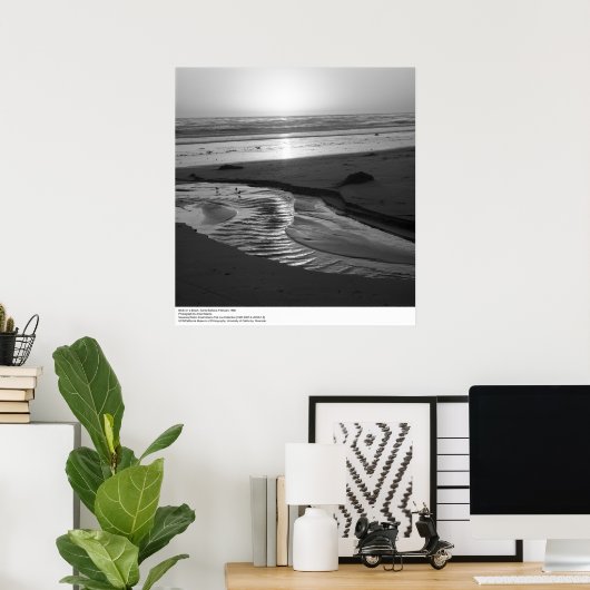 Vögel am Strand, Santa Barbara, 1966 Poster (Heimbüro)