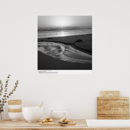 Vögel am Strand, Santa Barbara, 1966 Poster (Küche)