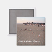 Vögel am Strand von Cabo Magnet (Vorderseite/Rückseite)