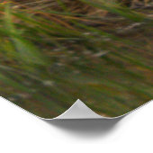 Vogel am Wasserposter Poster (Ecke)