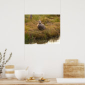 Vogel am Wasserposter Poster (Küche)