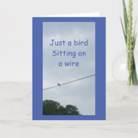 VÖGEL AM WIRE SAGT **GLÜCKLICHER GEBURTSTAG**