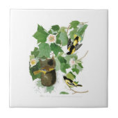 Vögel Amerika Baltimore Orioles John James Audubon Fliese (Vorderseite)