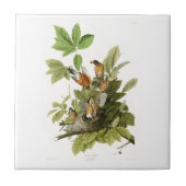 Vögel Amerikaner-Robins John James Audubon von Fliese (Vorderseite)